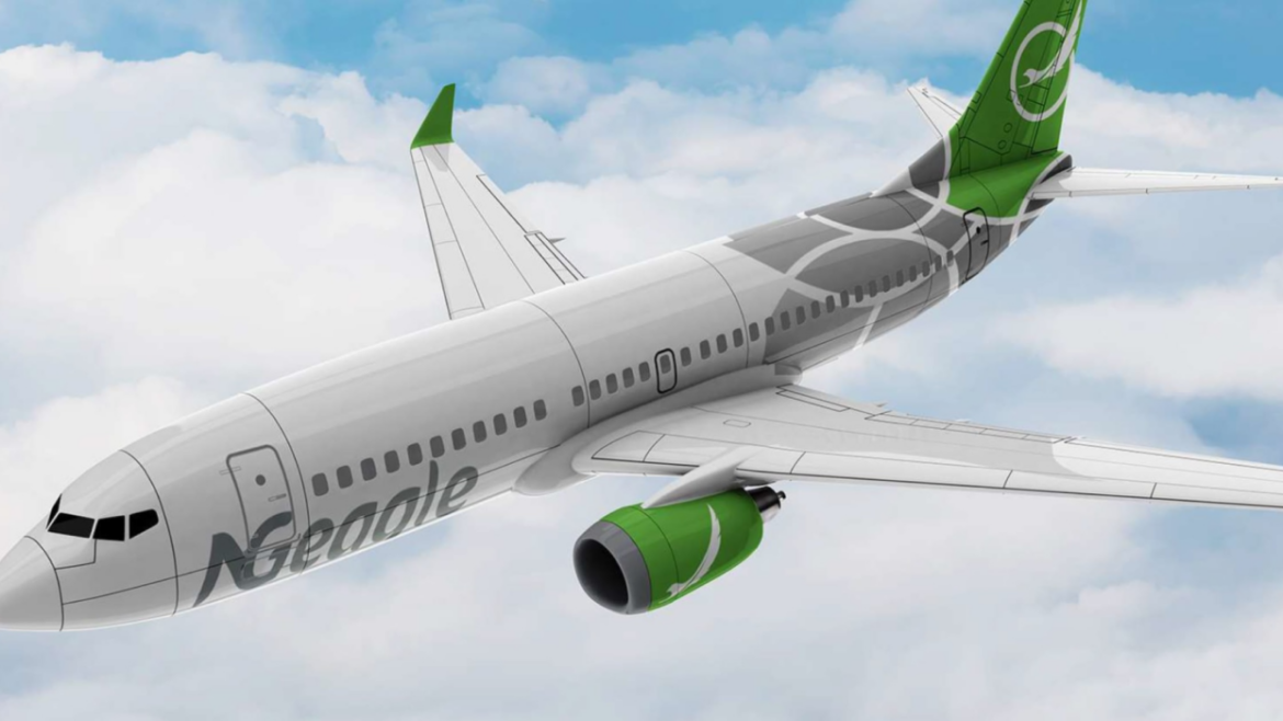 NG Eagle Airline: How To Book A Flight