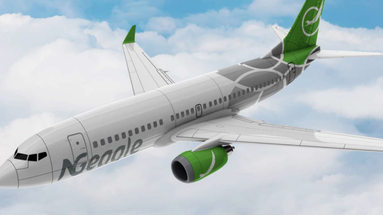 NG Eagle Airline: How To Book A Flight