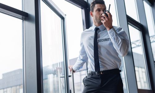 What are High-end Security Services?