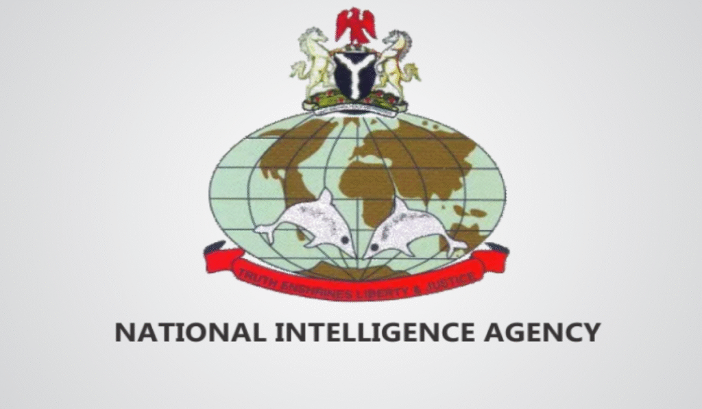 Top 5 Security Agencies in Nigeria: National Intelligence Agency (NIA)