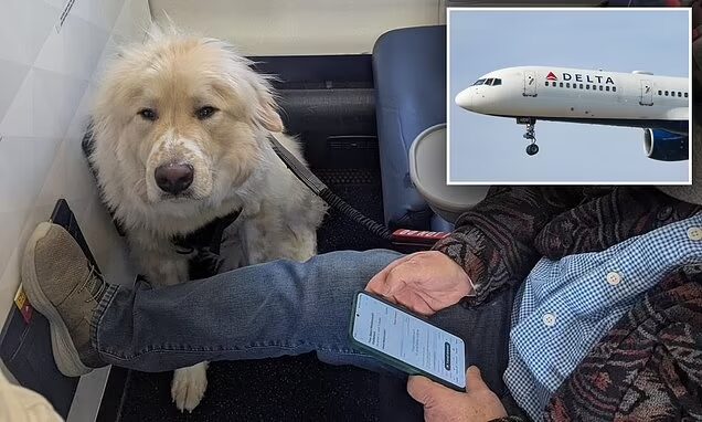 Best Airlines for Dogs: Delta Air Lines