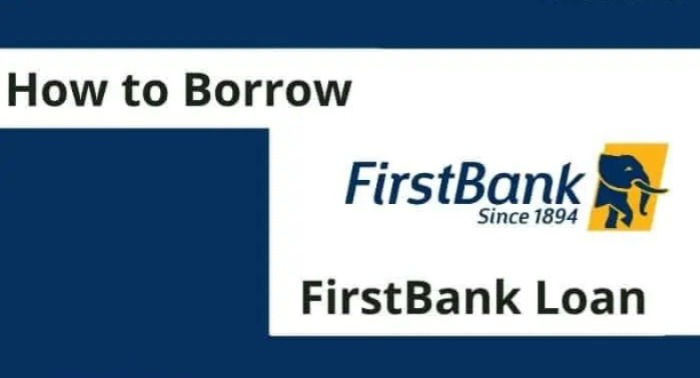 How to Borrow Money from First Bank: Types of Loans You Can Access