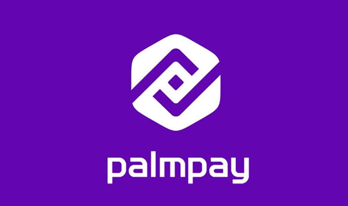 How to Borrow Money from PalmPay