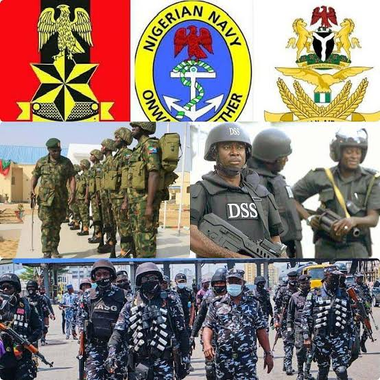Security Products and Services in Nigeria: Government Security Agencies in Nigeria and What They Do